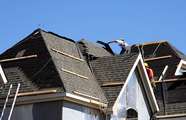 Best Storm Damage Roof Repair  in Brunswick, MD